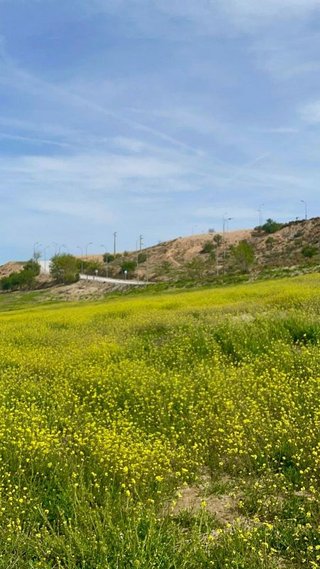 Solar en venta en Otura