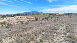Solar en venta en Pinós