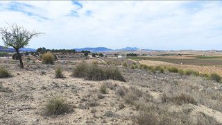Solar en venta en Pinós