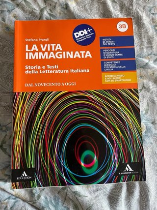 La vita immaginata. Storia e testi della letter...