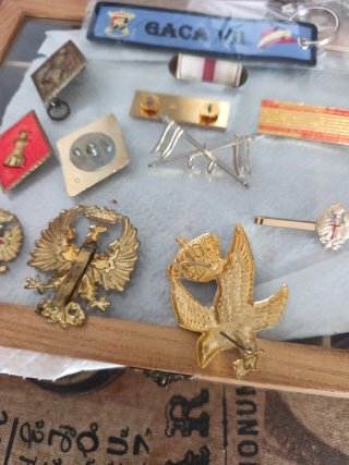 Lote insignias y pasadores militares