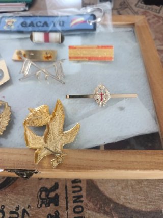 Lote insignias y pasadores militares