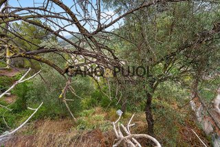 Casa en venta en Vallirana