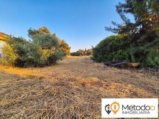 Chalet en venta en Rinconada (La)