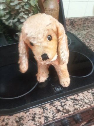 Peluche Steiff Cocker Spaniel Vintage