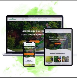 Diseño y creación de páginas web profesionales