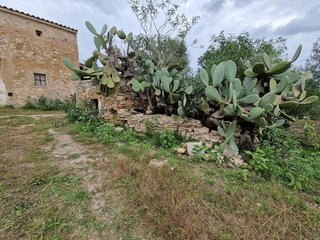 Masía en venta en Son Servera