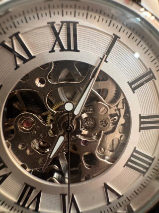 Reloj  automatic Esqueleto Marrón y Plata