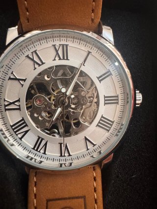 Reloj  automatic Esqueleto Marrón y Plata