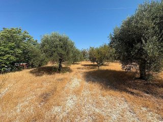 Solar en venta en Moratalla