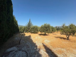 Solar en venta en Moratalla