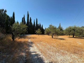 Solar en venta en Moratalla