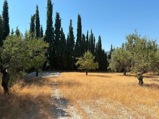 Solar en venta en Moratalla