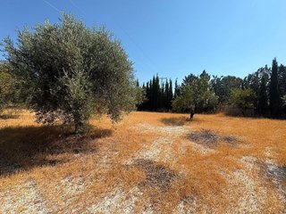 Solar en venta en Moratalla