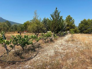 Solar en venta en Moratalla