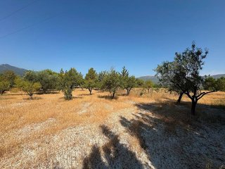 Solar en venta en Moratalla