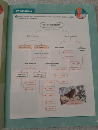 Ciencias de la Naturaleza, 4° Primaria.