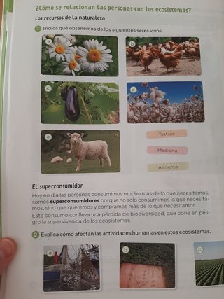 Ciencias de la Naturaleza, 4° Primaria.