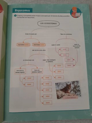 Ciencias de la Naturaleza, 4° Primaria.
