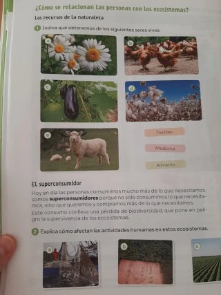 Ciencias de la Naturaleza, 4° Primaria.