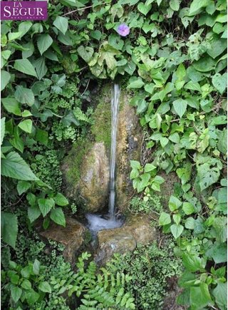 Terreno en venta en Vejer de la Frontera