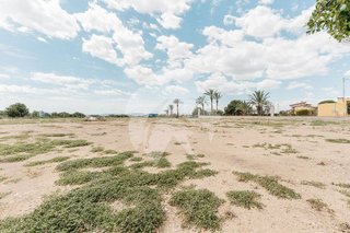 Nave industrial en venta en Crevillent