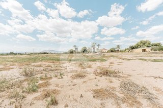 Nave industrial en venta en Crevillent