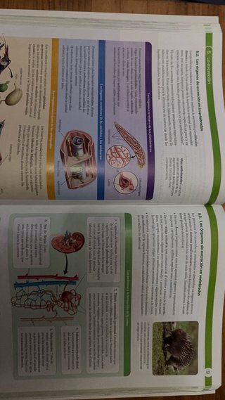 Biología, Geología y Ciencias Ambientales 1 Bac...