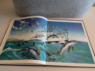 L'Île aux requins