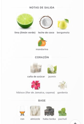 Perfume Rayhaan Aquatica