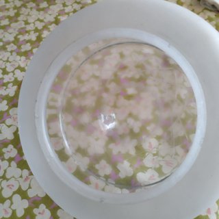 Tulipa modernista plato cristal esmerilado labrado