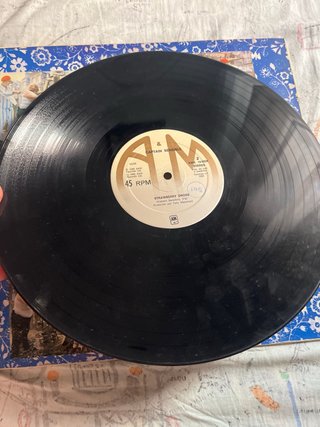 Captain Sensible Wot! Supersingle Punk Rock