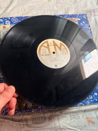 Captain Sensible Wot! Supersingle Punk Rock