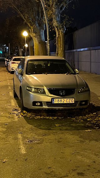 Honda accord pegatina C