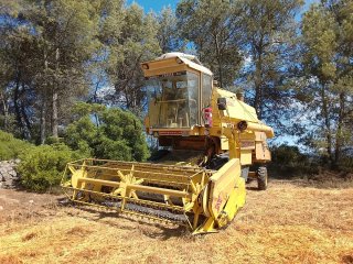 Cosechadora New Holland Clayson 8040