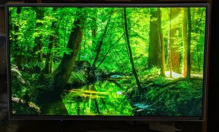Monitor LG 32" 2K IPS QHD (Come nuovo)