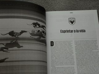 Revista VOLATA vol. 11 – Dosier Esprinters – Nueva