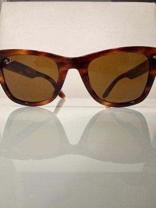 Gafas de sol Ray-Ban Wayfarer Marrones