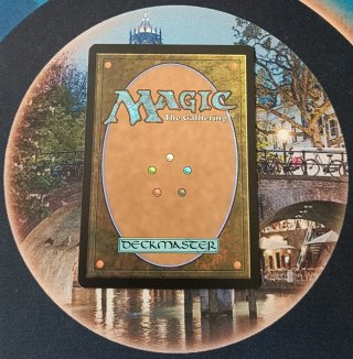 MAGIC FOIL - PALLIATION ACCORD