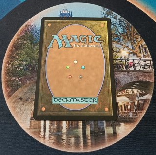 MAGIC FOIL - PALLIATION ACCORD
