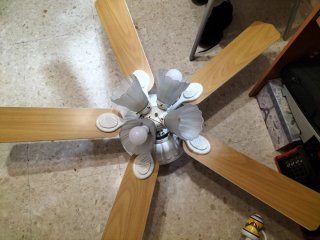 Ventilador de techo madera y cristal