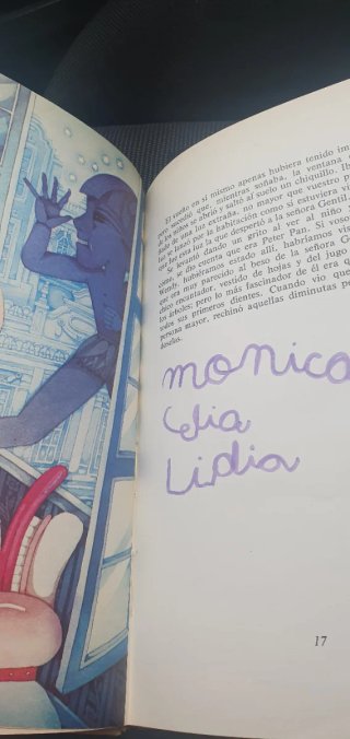 Libro Peter Pan Doncel 1976