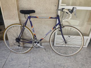 Bicicleta Zeus Clásica Morada