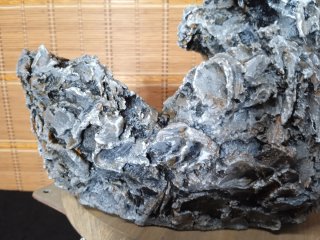 maceta bonsai  estructura Ishizuki para bonsais