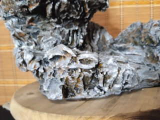 maceta bonsai  estructura Ishizuki para bonsais