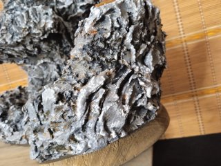 maceta bonsai  estructura Ishizuki para bonsais