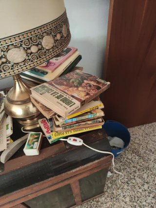 Lote libros antiguos