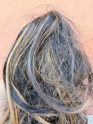 Coda capelli veri castani mossi