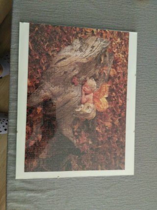 Puzzle de otoño con bebé - Anne Geddes