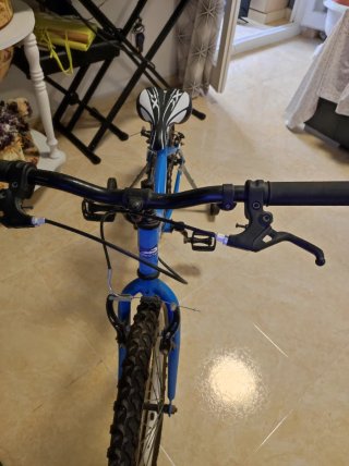 Bicicleta infantil Romester azul